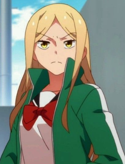 Mamoru Aikawa (Anime)