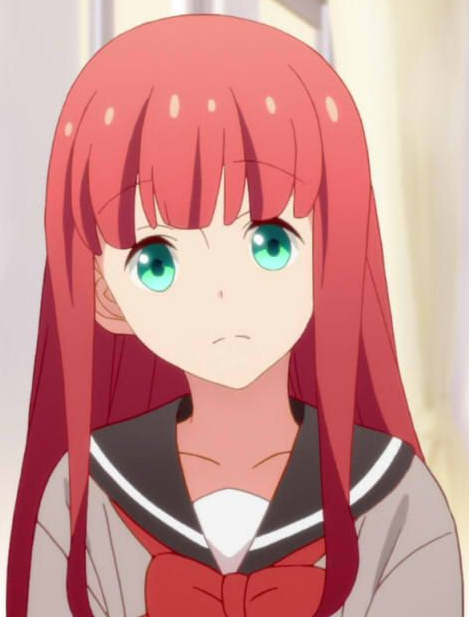 Mamoru Aikawa (Anime)