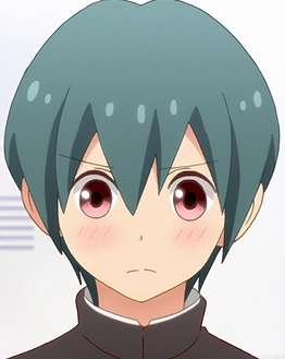 Mamoru Aikawa (Anime)