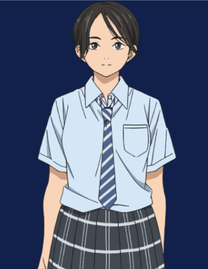 Mamoru Aikawa (Anime)