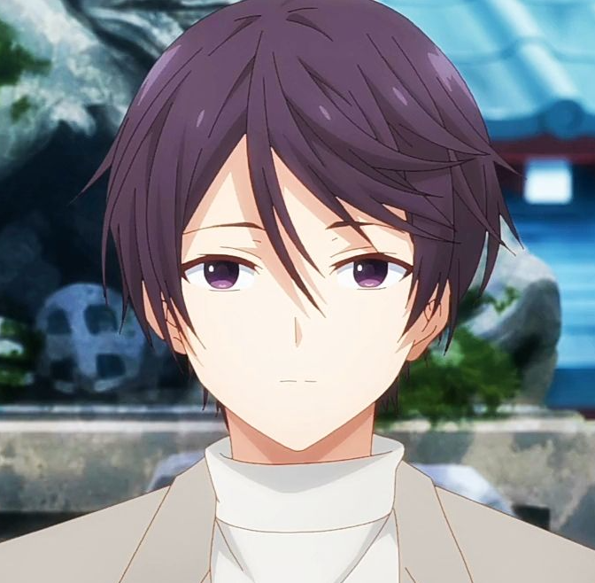 Mamoru Aikawa (Anime)
