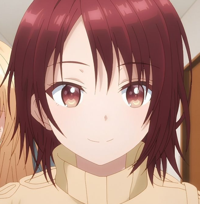 Mamoru Aikawa (Anime)