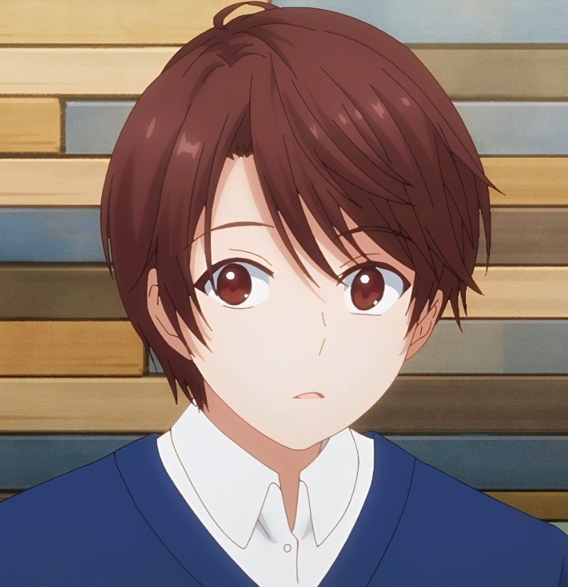Mamoru Aikawa (Anime)