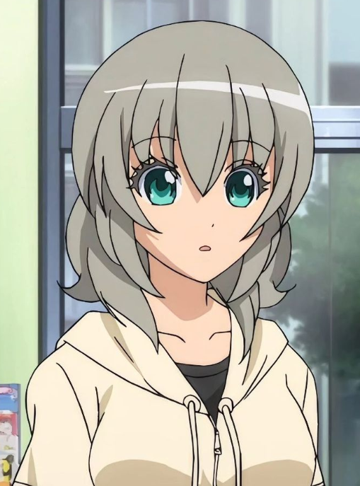 Mamoru Aikawa (Anime)