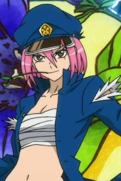 Mamoru Aikawa (Anime)