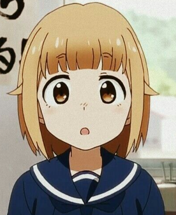 Mamoru Aikawa (Anime)