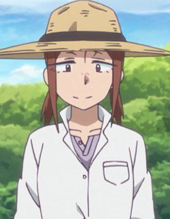 Mamoru Aikawa (Anime)
