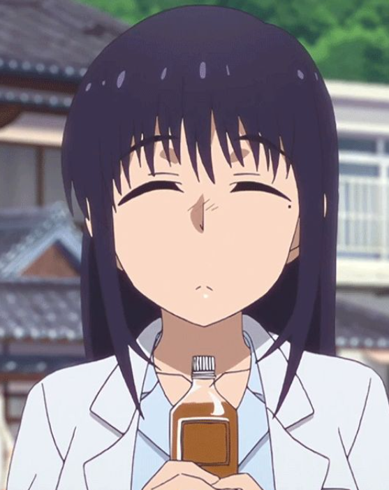 Mamoru Aikawa (Anime)