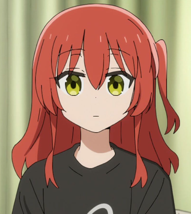 Mamoru Aikawa (Anime)