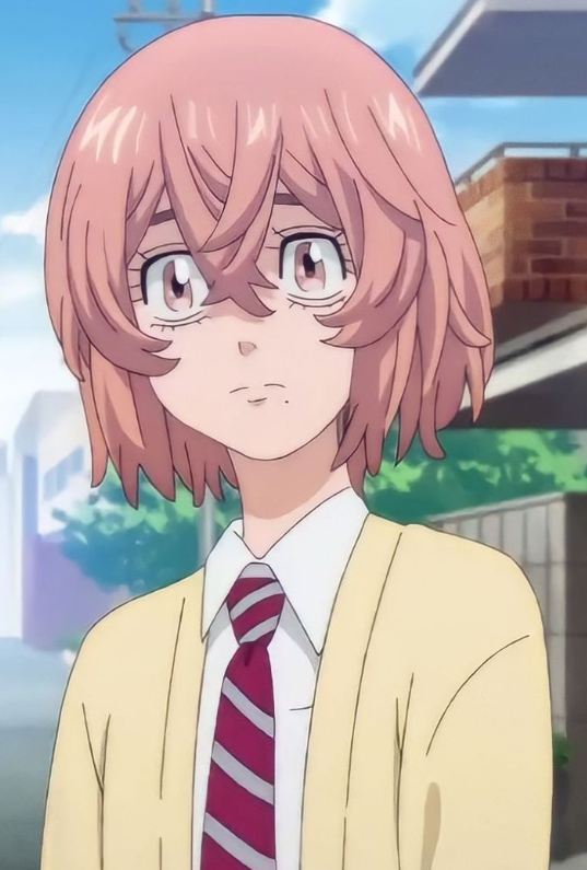 Mamoru Aikawa (Anime)