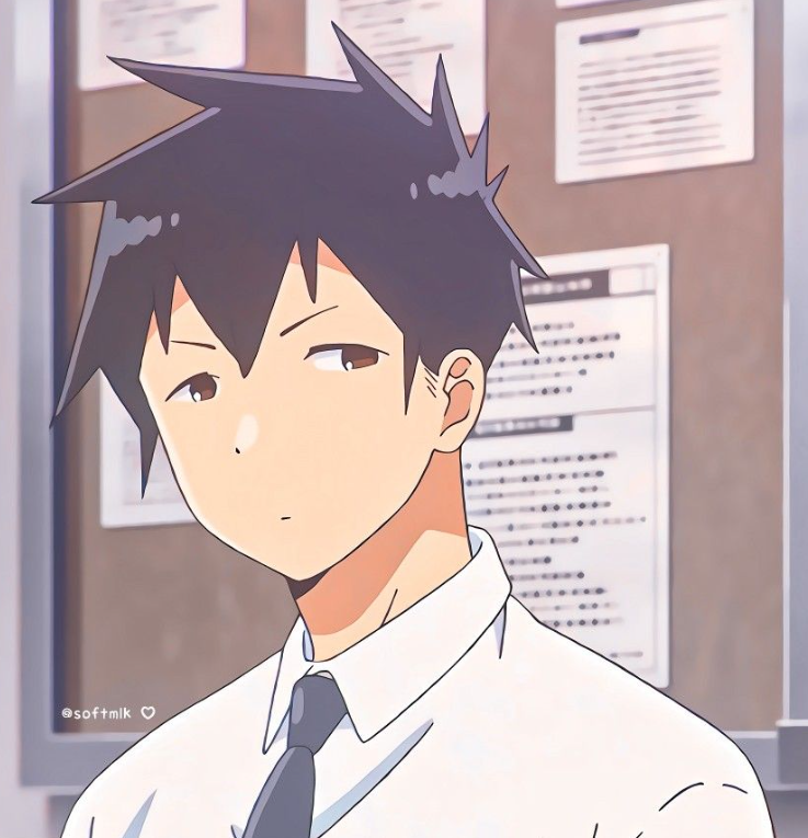 Mamoru Aikawa (Anime)