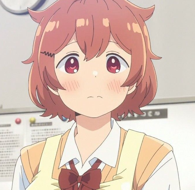 Mamoru Aikawa (Anime)