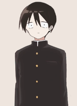 Mamoru Aikawa (Anime)