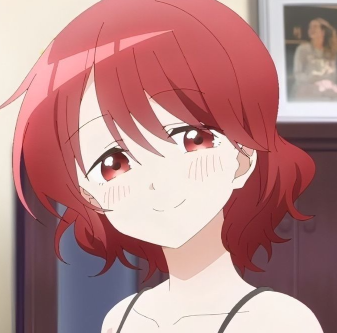 Mamoru Aikawa (Anime)