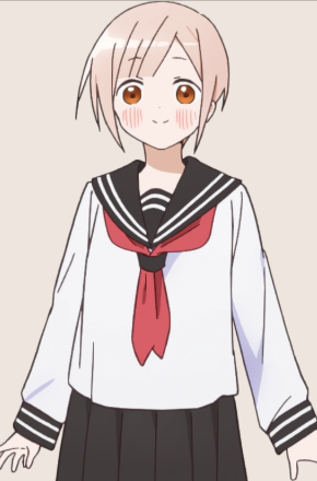 Mamoru Aikawa (Anime)