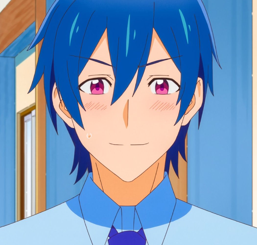 Mamoru Aikawa (Anime)