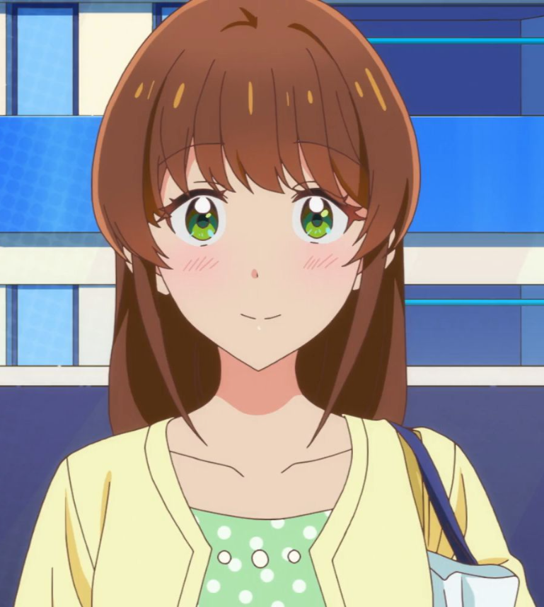 Mamoru Aikawa (Anime)