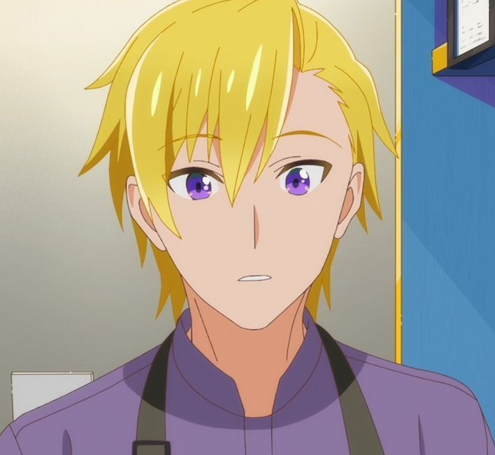 Mamoru Aikawa (Anime)