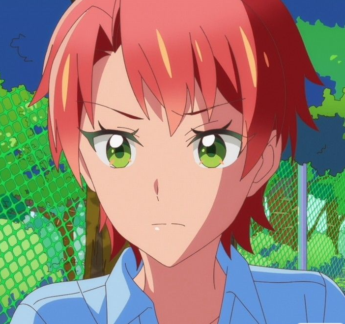 Mamoru Aikawa (Anime)