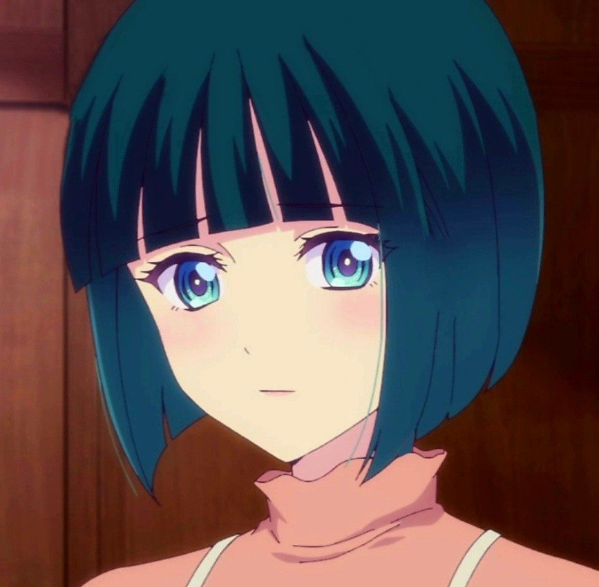 Mamoru Aikawa (Anime)