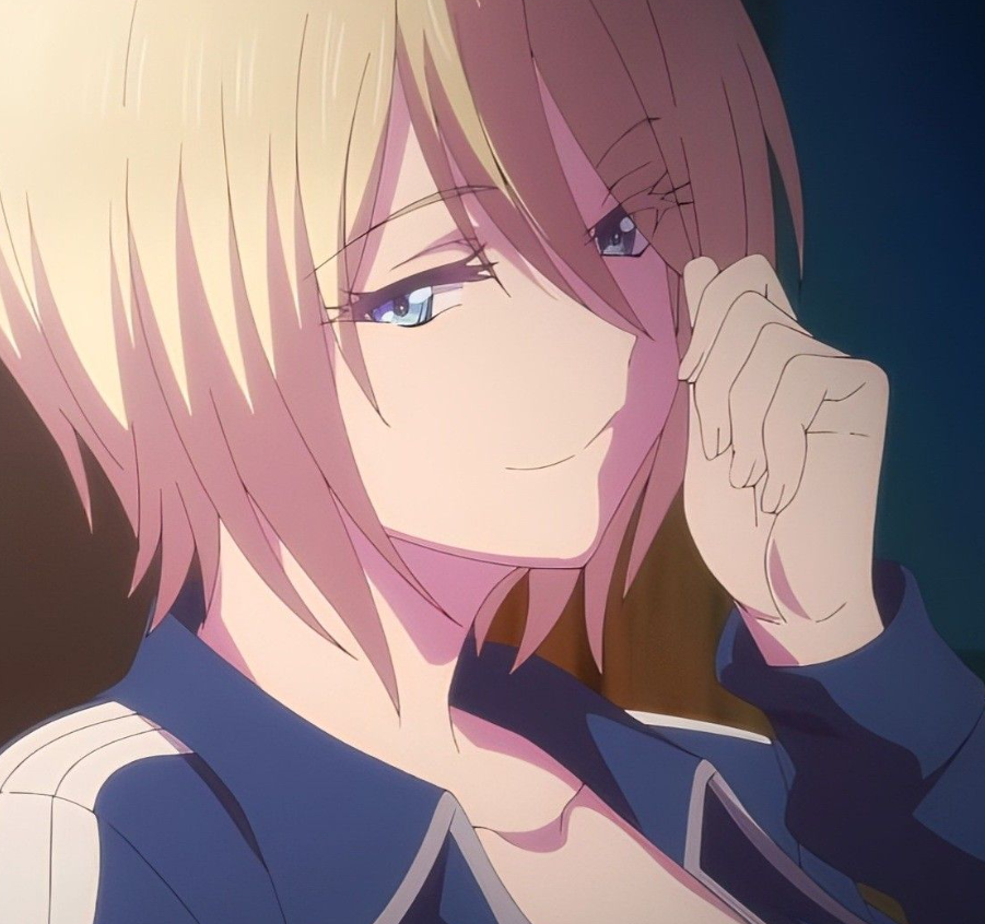 Mamoru Aikawa (Anime)