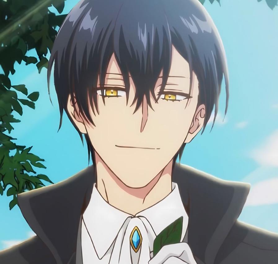 Mamoru Aikawa (Anime)