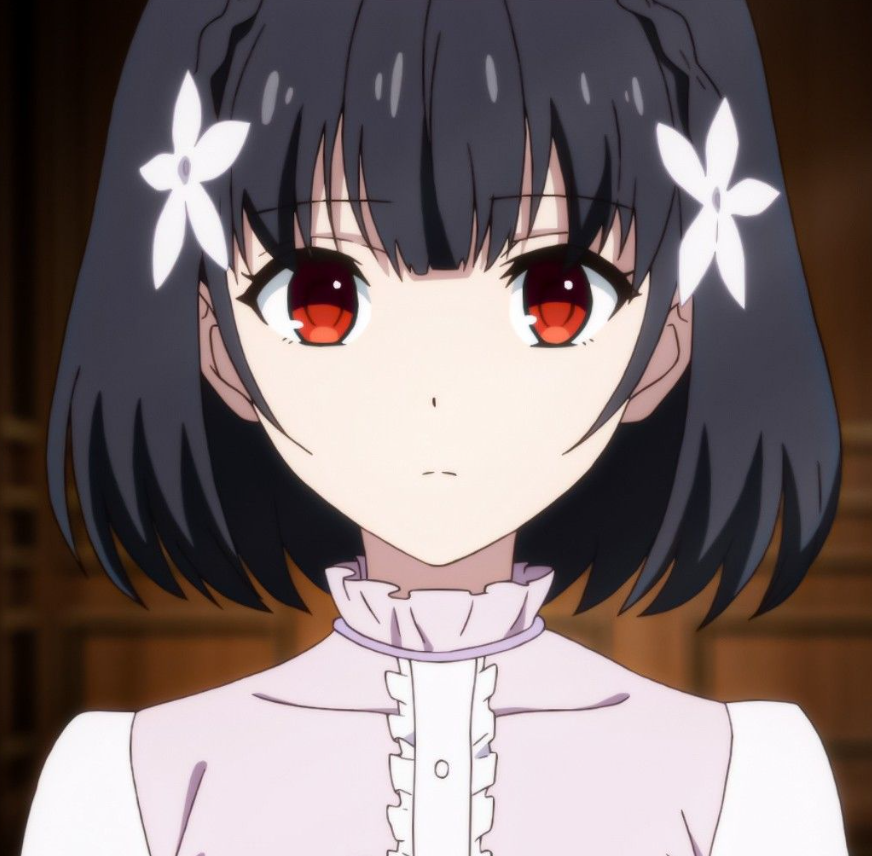 Mamoru Aikawa (Anime)