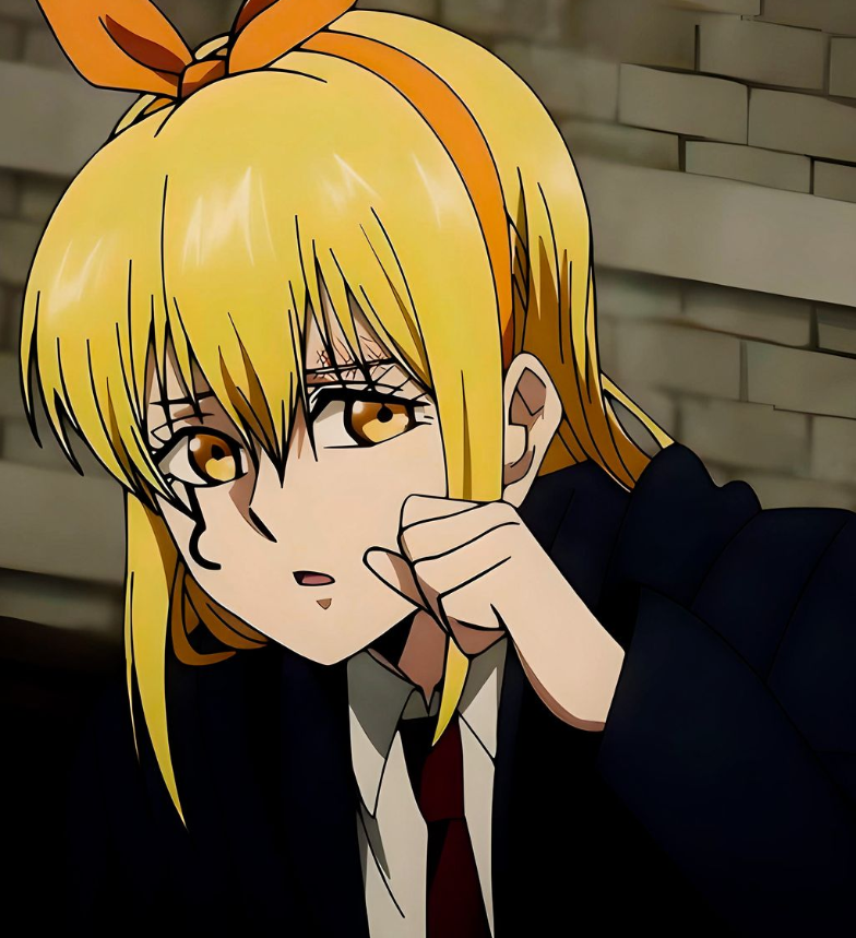 Mamoru Aikawa (Anime)