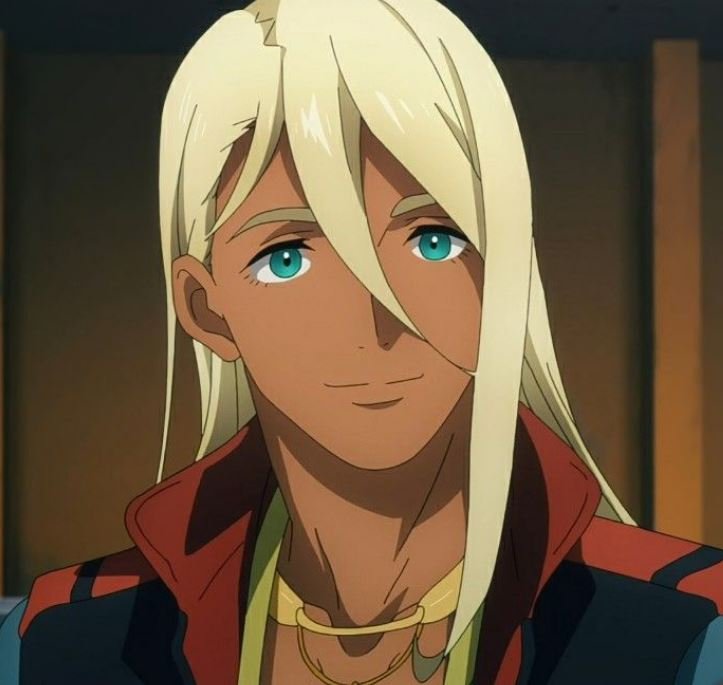 Mamoru Aikawa (Anime)