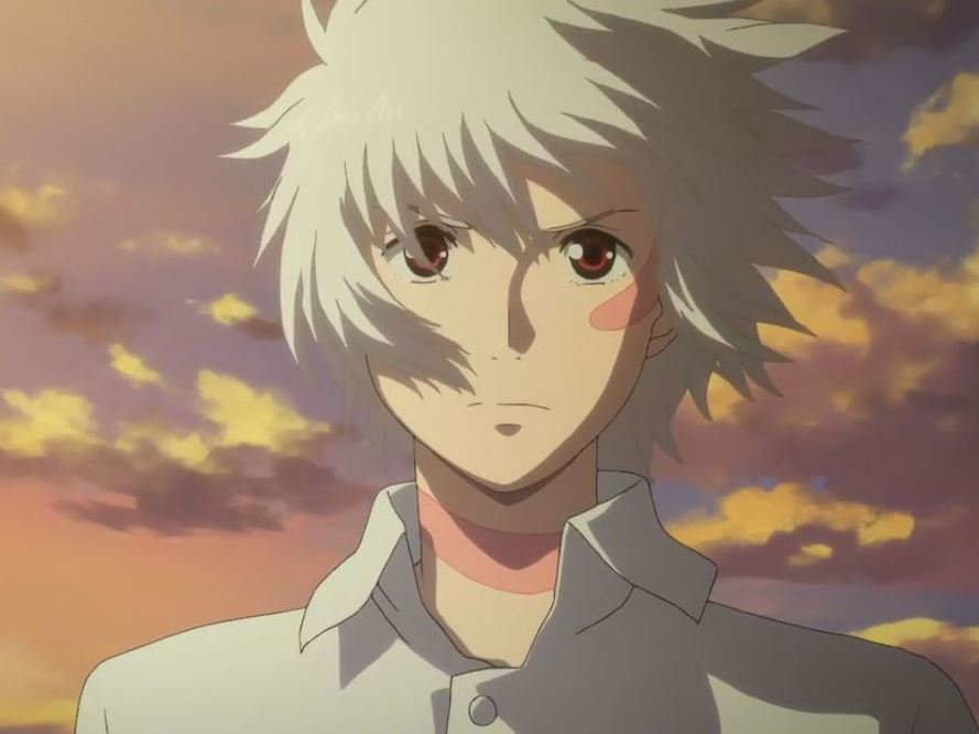 Mamoru Aikawa (Anime)