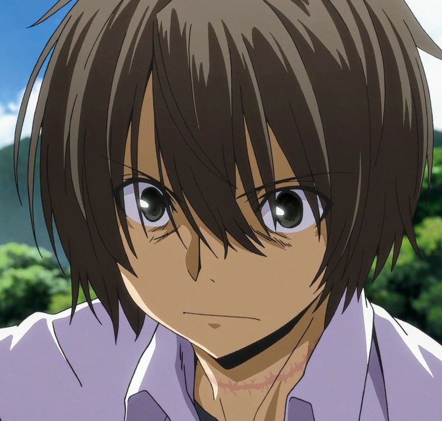 Mamoru Aikawa (Anime)