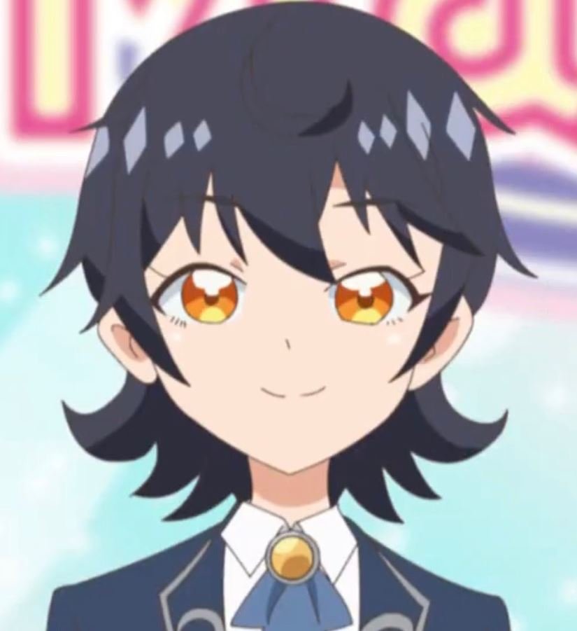 Mamoru Aikawa (Anime)