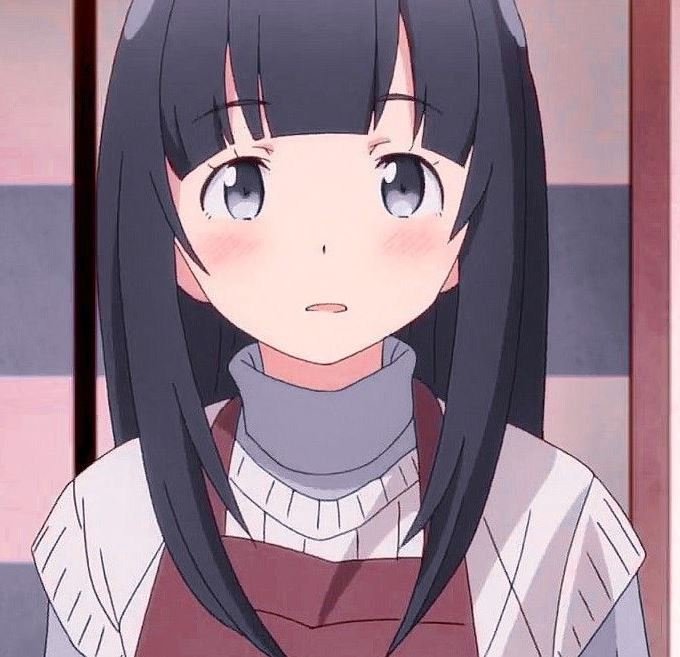 Mamoru Aikawa (Anime)