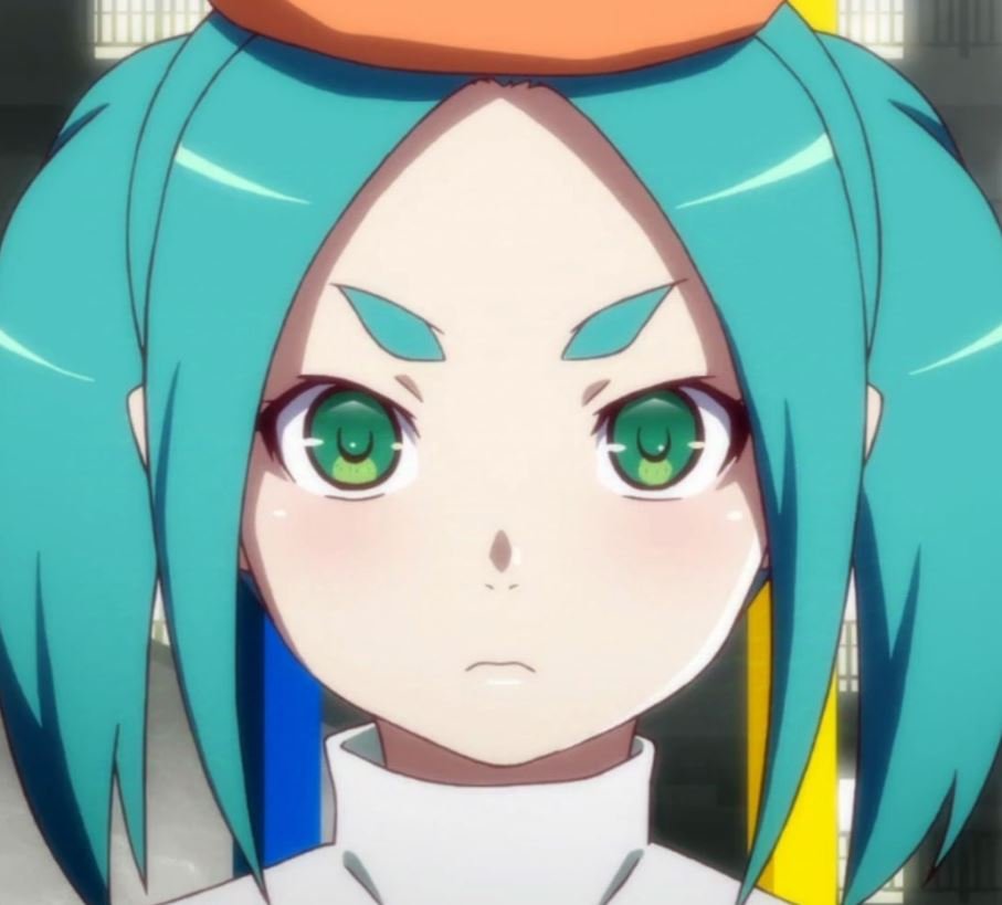 Mamoru Aikawa (Anime)