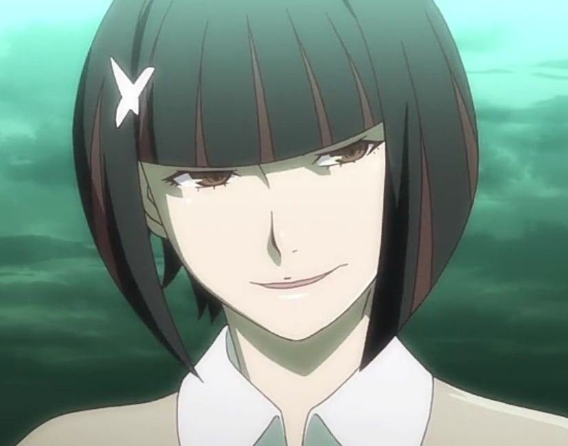 Mamoru Aikawa (Anime)