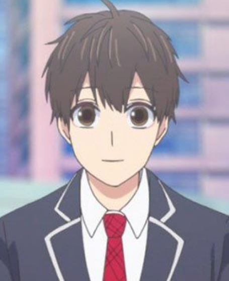Mamoru Aikawa (Anime)