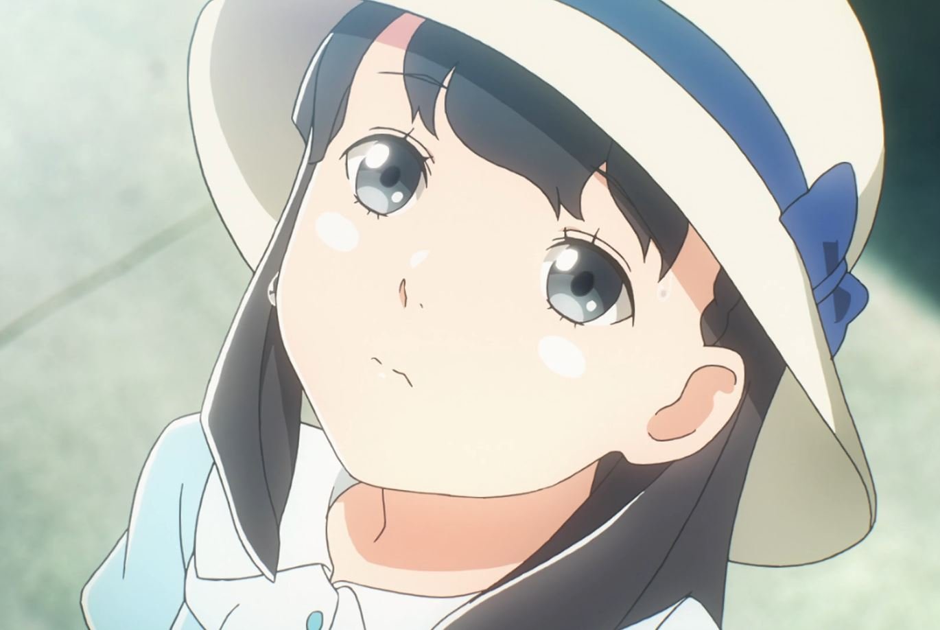 Mamoru Aikawa (Anime)