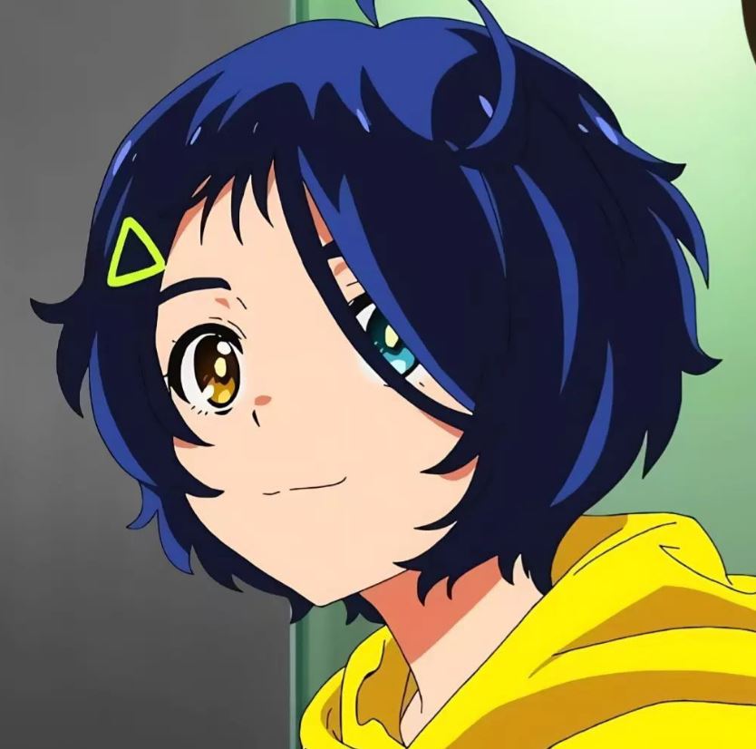 Mamoru Aikawa (Anime)