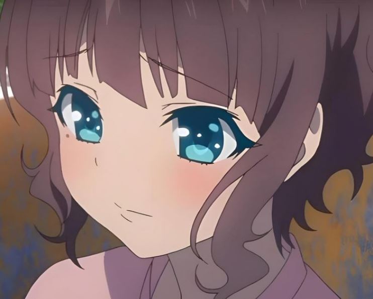 Mamoru Aikawa (Anime)