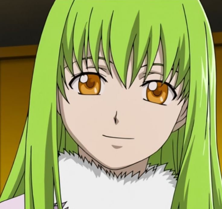 Mamoru Aikawa (Anime)