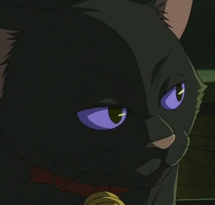 Mamoru Aikawa (Anime)