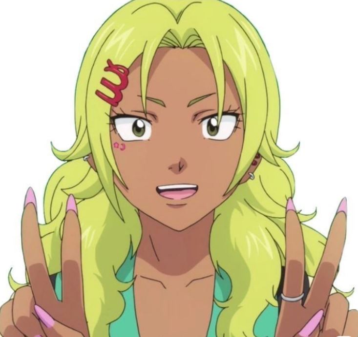 Mamoru Aikawa (Anime)