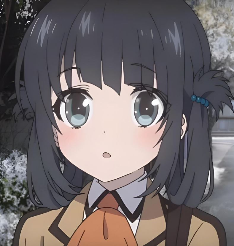 Mamoru Aikawa (Anime)