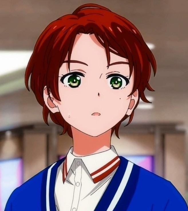 Mamoru Aikawa (Anime)