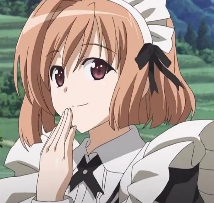Mamoru Aikawa (Anime)