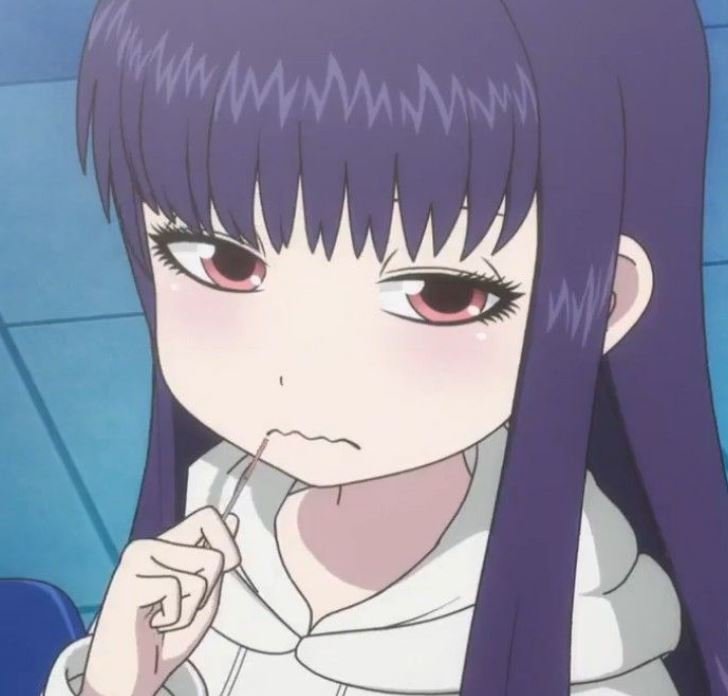Mamoru Aikawa (Anime)