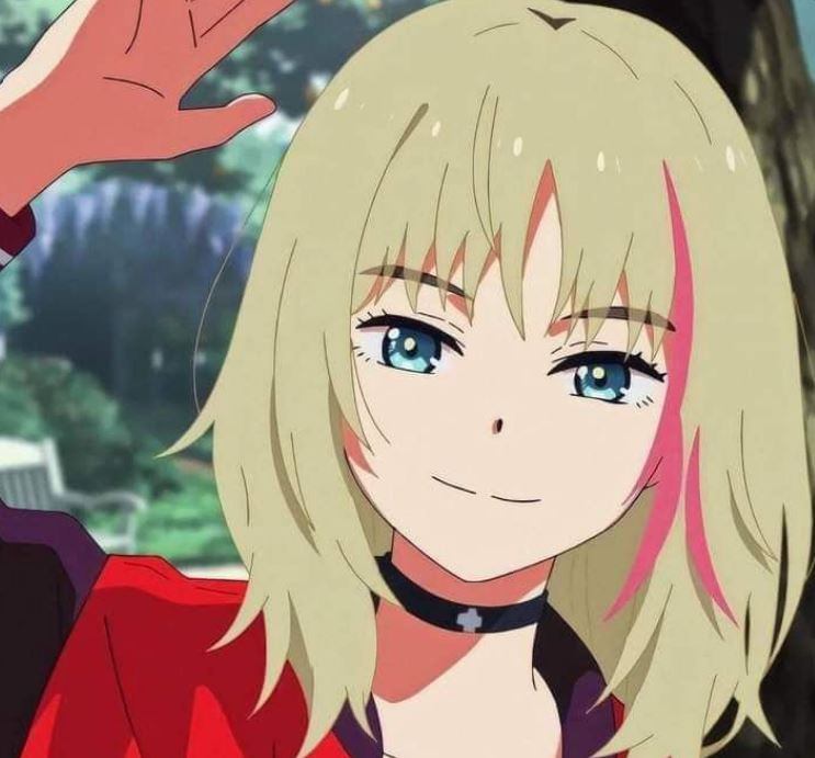 Mamoru Aikawa (Anime)