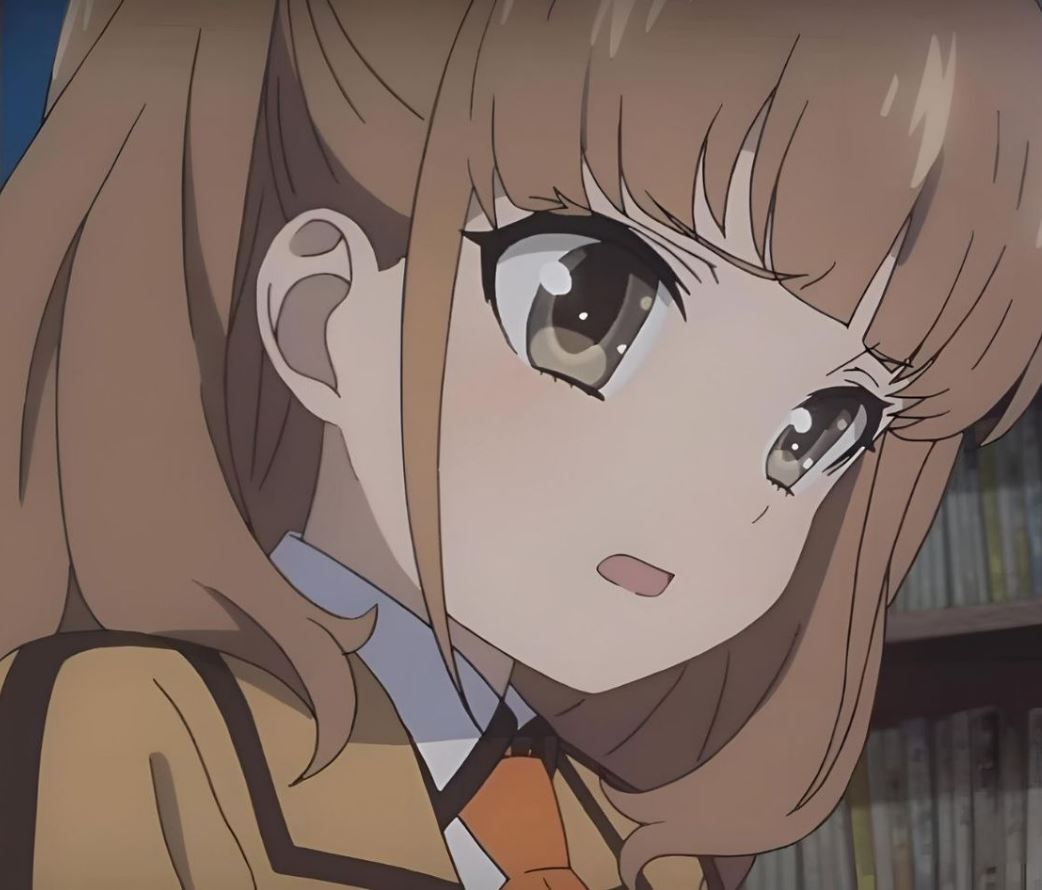 Mamoru Aikawa (Anime)