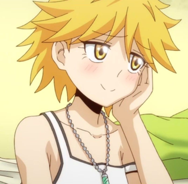 Mamoru Aikawa (Anime)