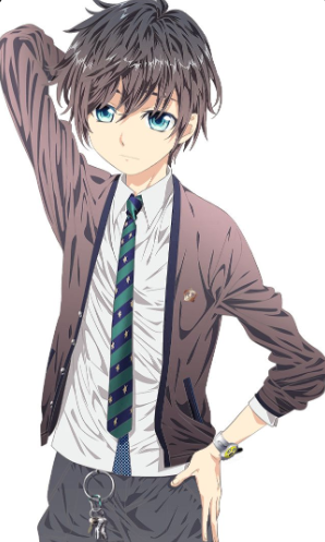 Mamoru Aikawa (Anime)